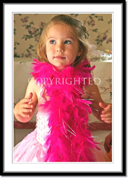 Click for the original image